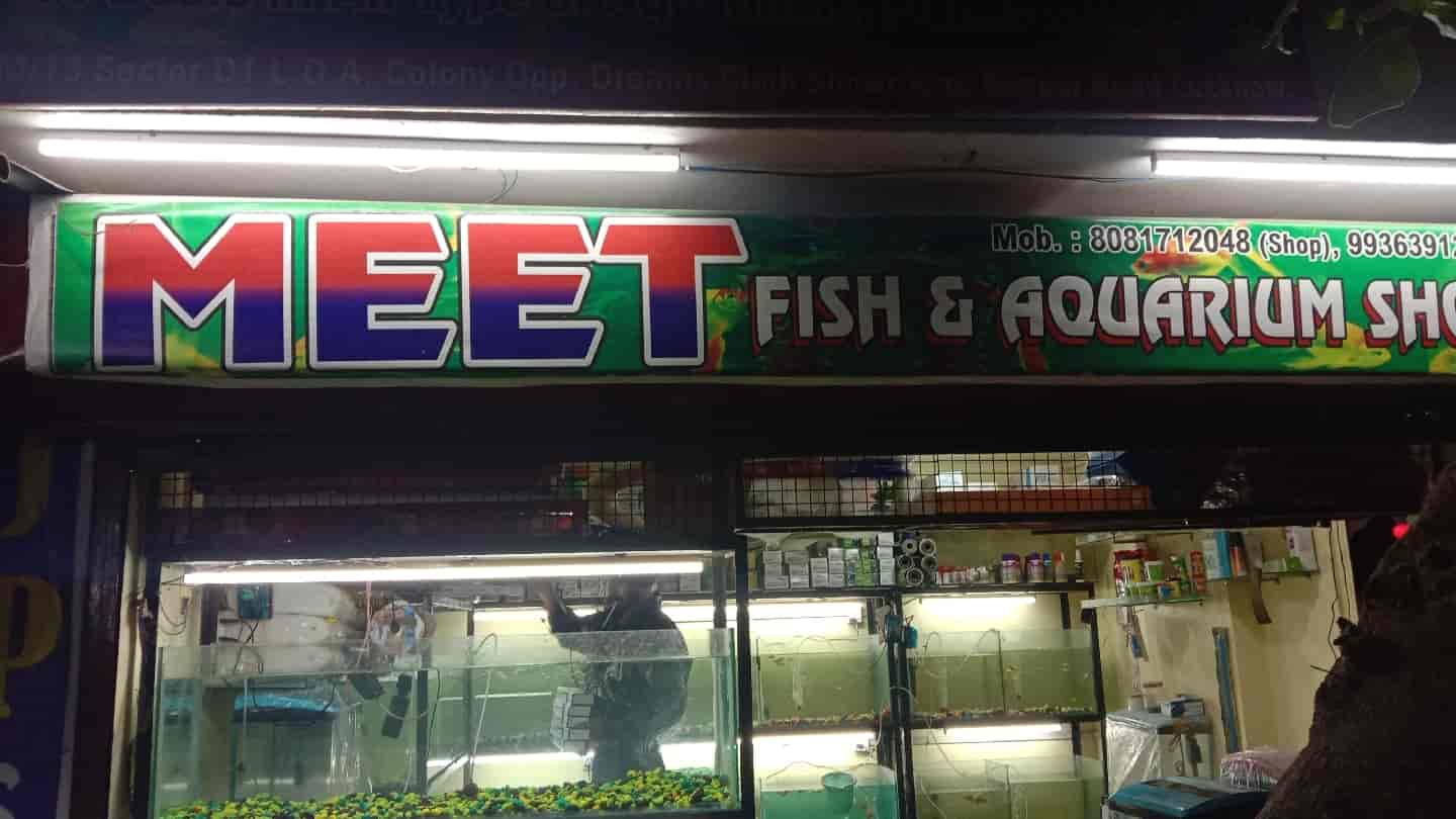 Meet Fish & Aquarium Shop in Aashiyana,Lucknow Best Fish Food