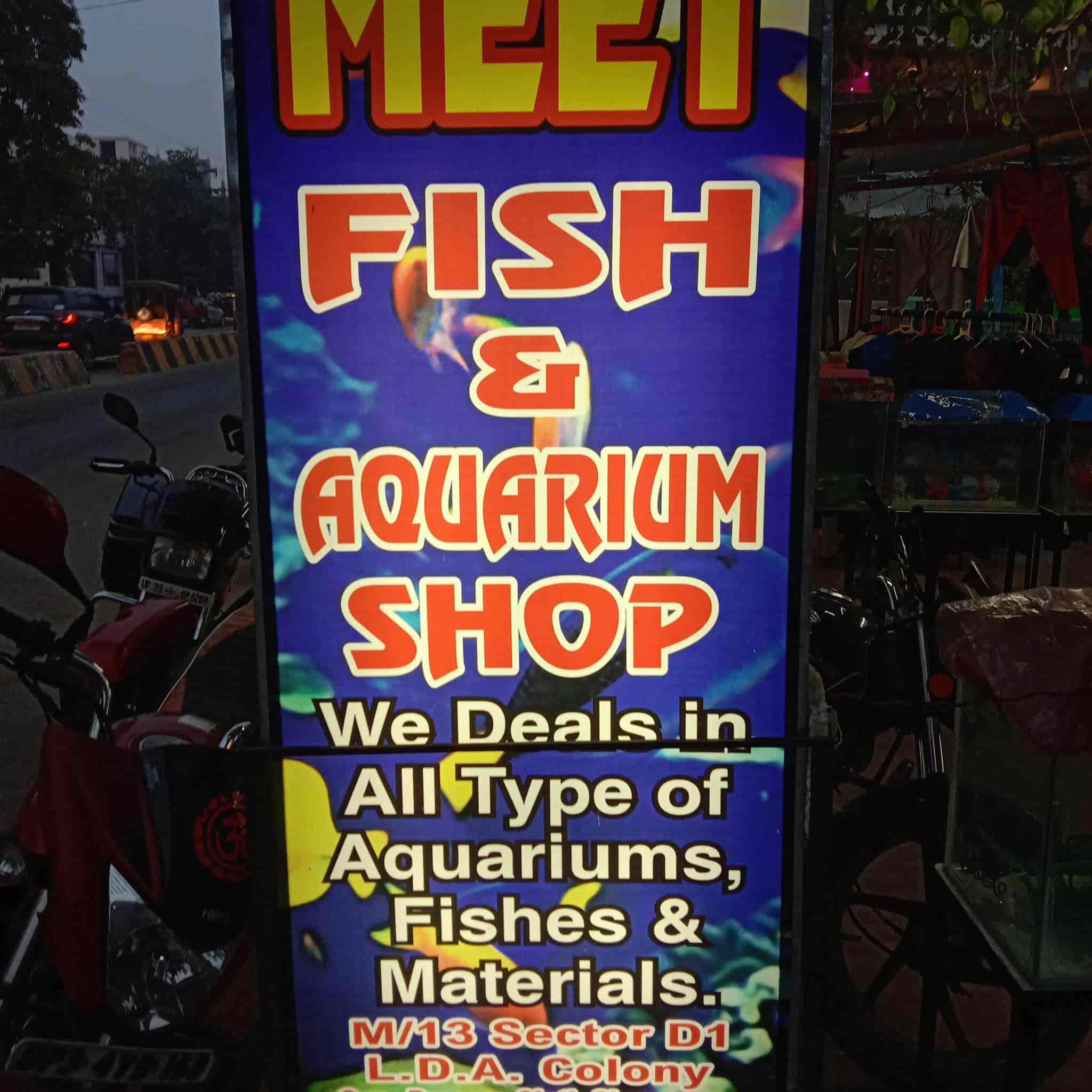 Meet Fish & Aquarium Shop in Aashiyana,Lucknow Best Fish Food