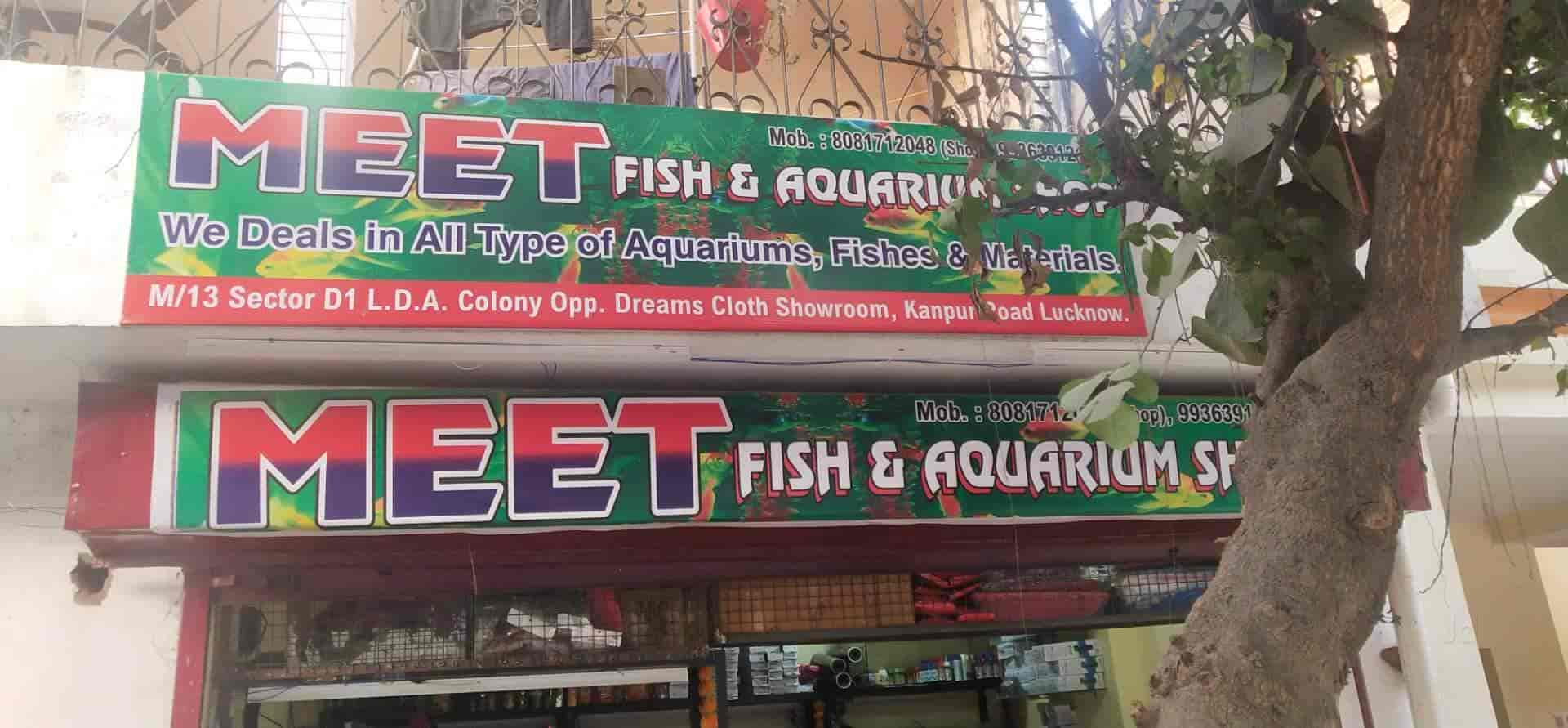 Meet Fish & Aquarium Shop in Aashiyana,Lucknow Best Fish Food
