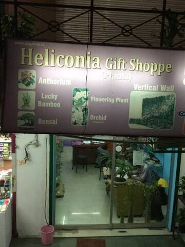 Heloconia Gift Shoppe Gomti Nagar Gift Shops In Lucknow Justdial