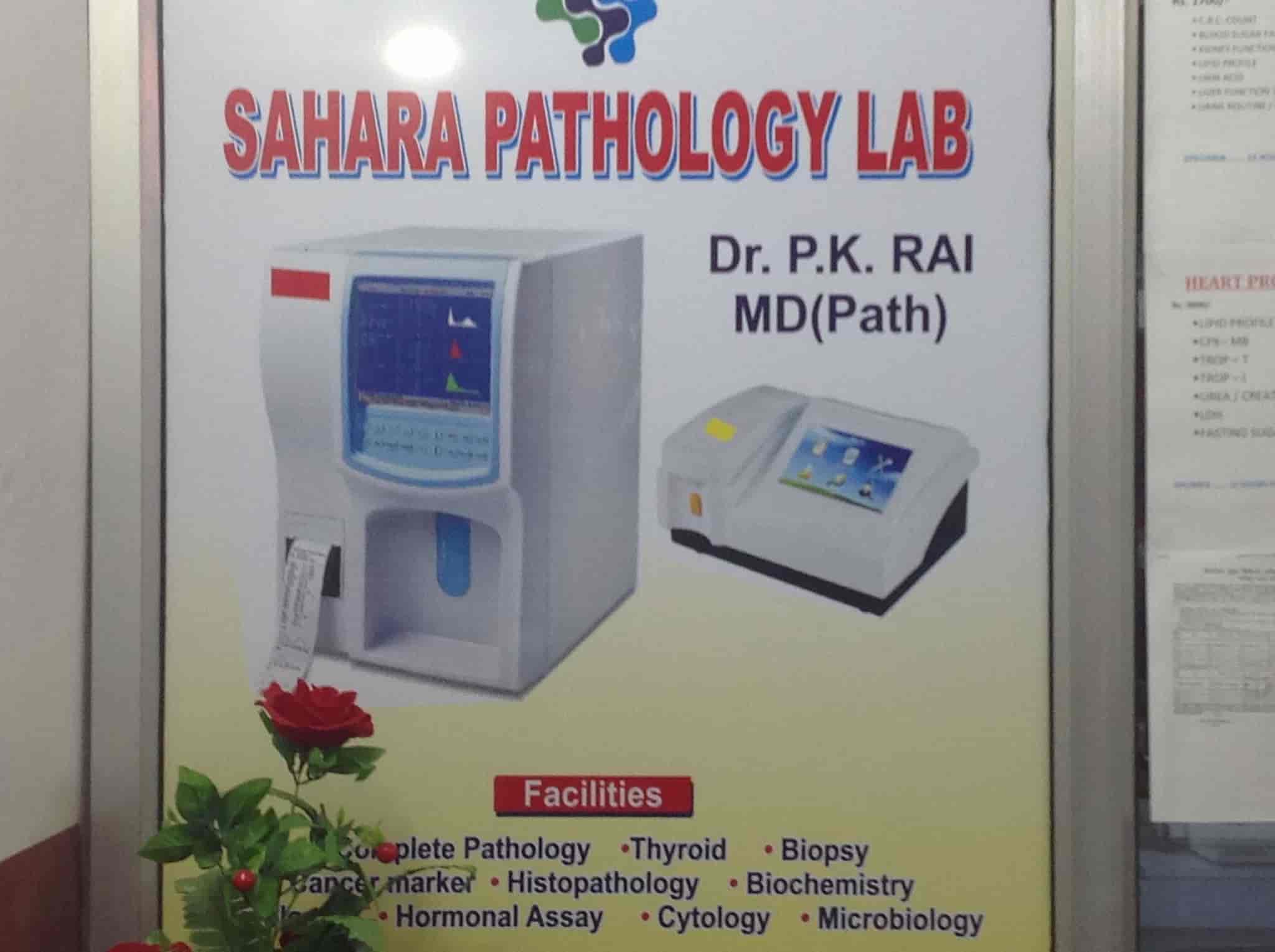 Lab view 3