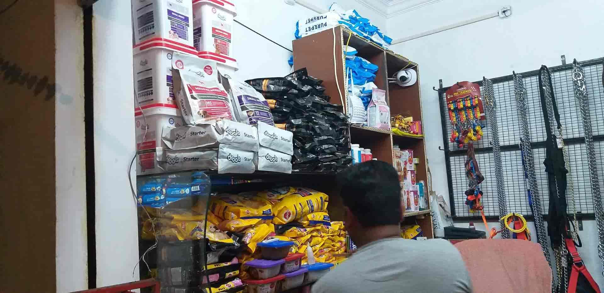 Rohit Pet Shop in Alambagh,Lucknow Best Pet Shops in Lucknow Justdial