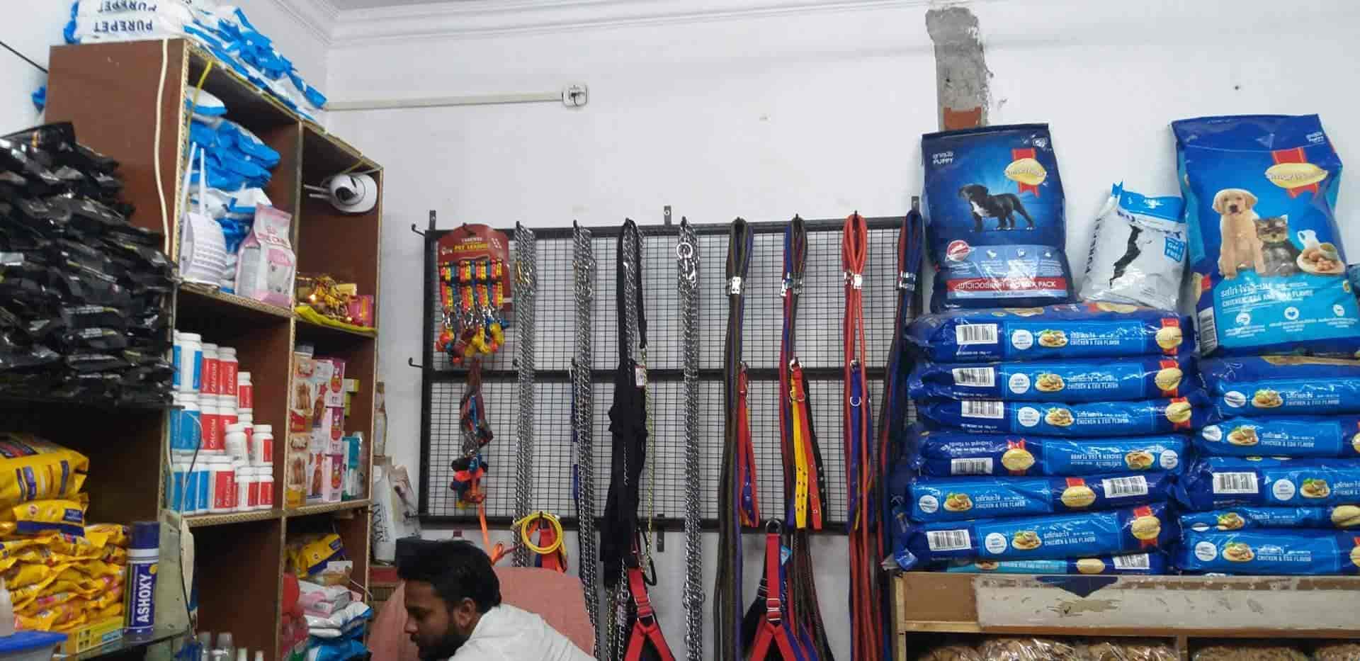 Rohit Pet Shop in Alambagh,Lucknow Best Pet Shops in Lucknow Justdial