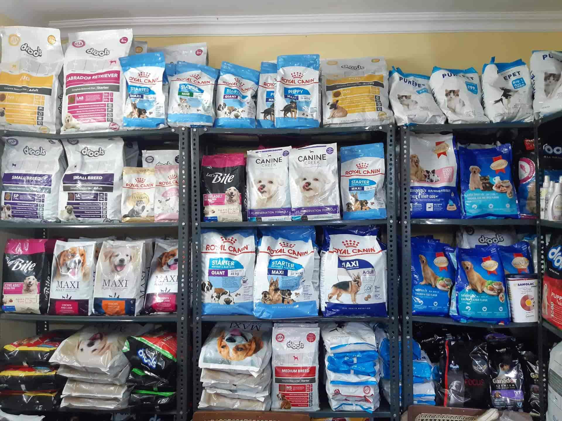 Rohit Pet Shop in Alambagh,Lucknow Best Pet Shops in Lucknow Justdial