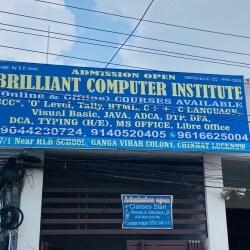 Brilliant Computer Institute 11