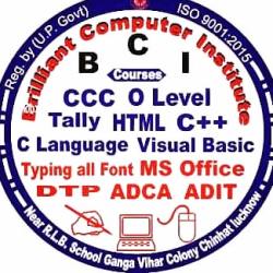 Brilliant Computer Institute 10