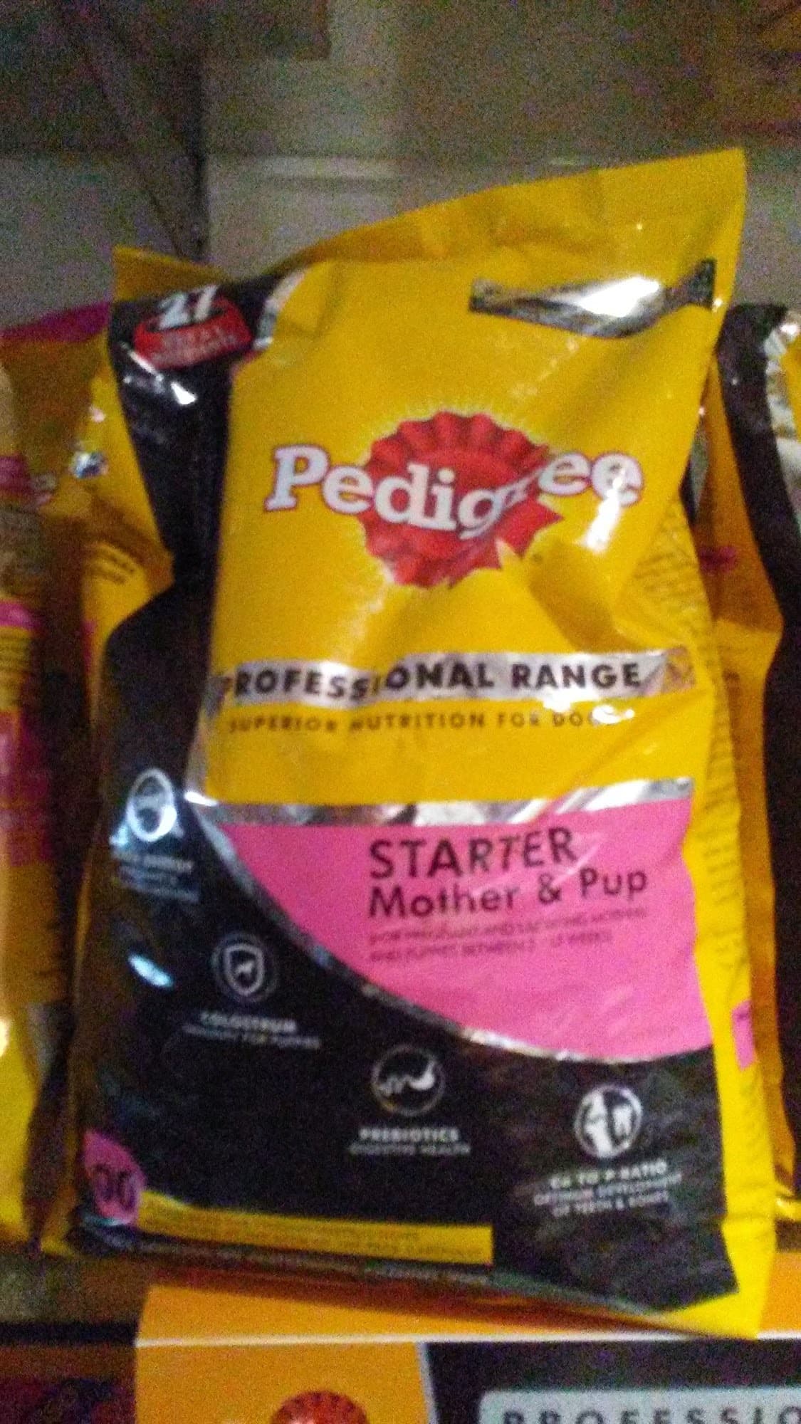 Vet 4 Pet in Indira Nagar Lucknow,Lucknow Best Veterinary Doctors in