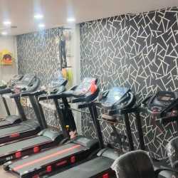 Top 50 Home Gym Equipment Dealers In Lucknow Best Home Fitness Equipment Dealers Justdial