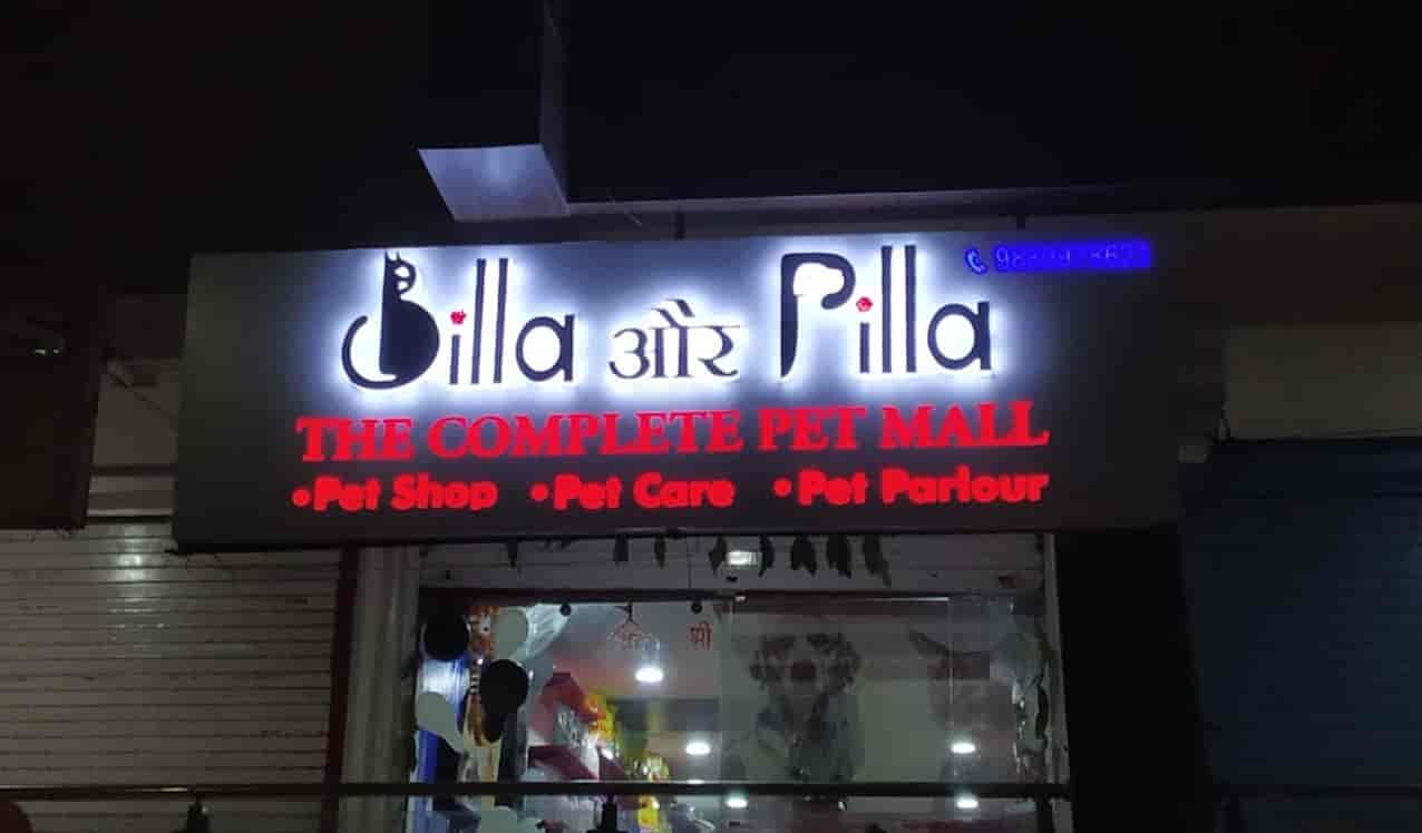 Billa Aur Pilla, Mahanagar Pet Shops For Dog in Lucknow Justdial