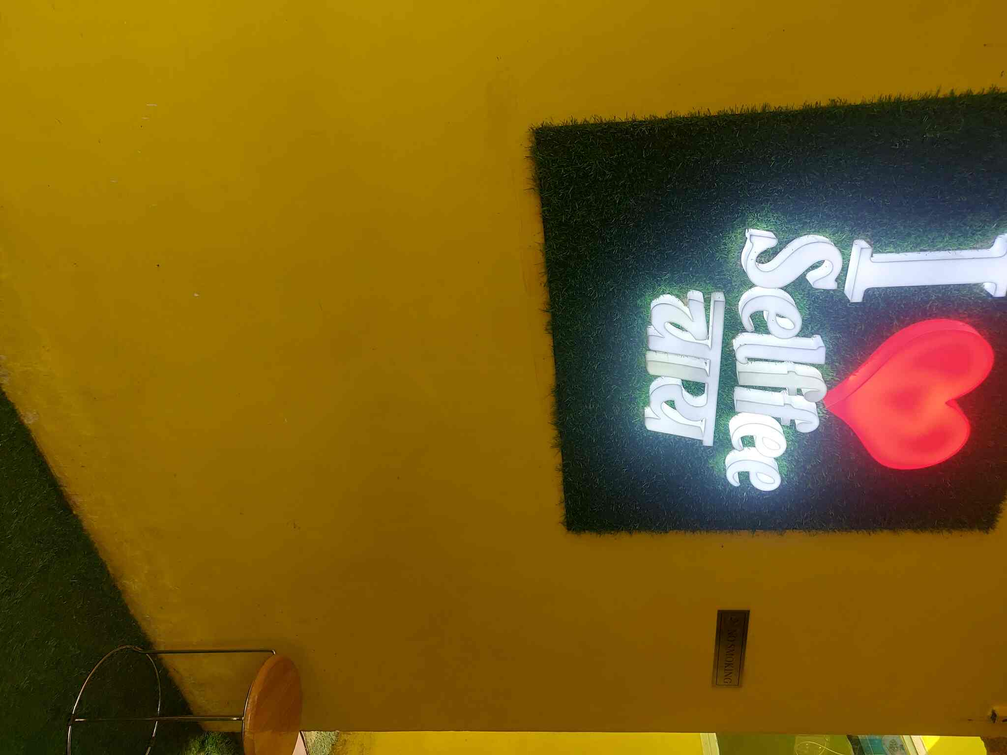 Selffee Chai in gomti nagar,Lucknow Best Tea Lounges in Lucknow