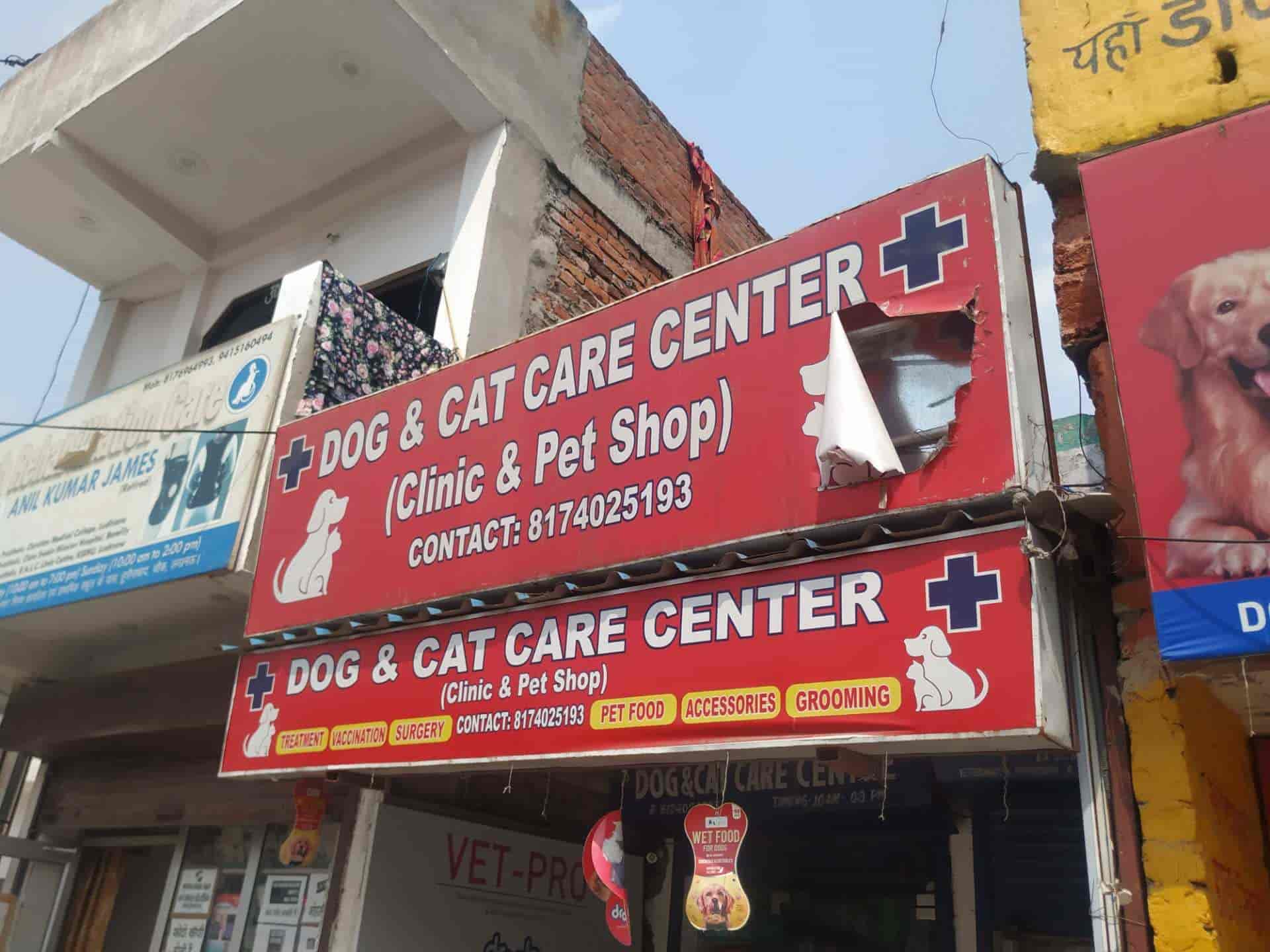 Lucknow Dog Pet Clinic Near Me Lucknow Best Dog Clinic Near Me