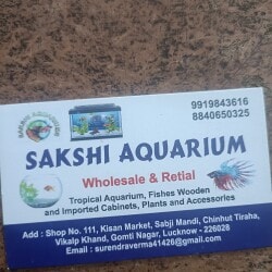 Top Aquarium Fish Food Importers in Lucknow - एक्वेरियम ...