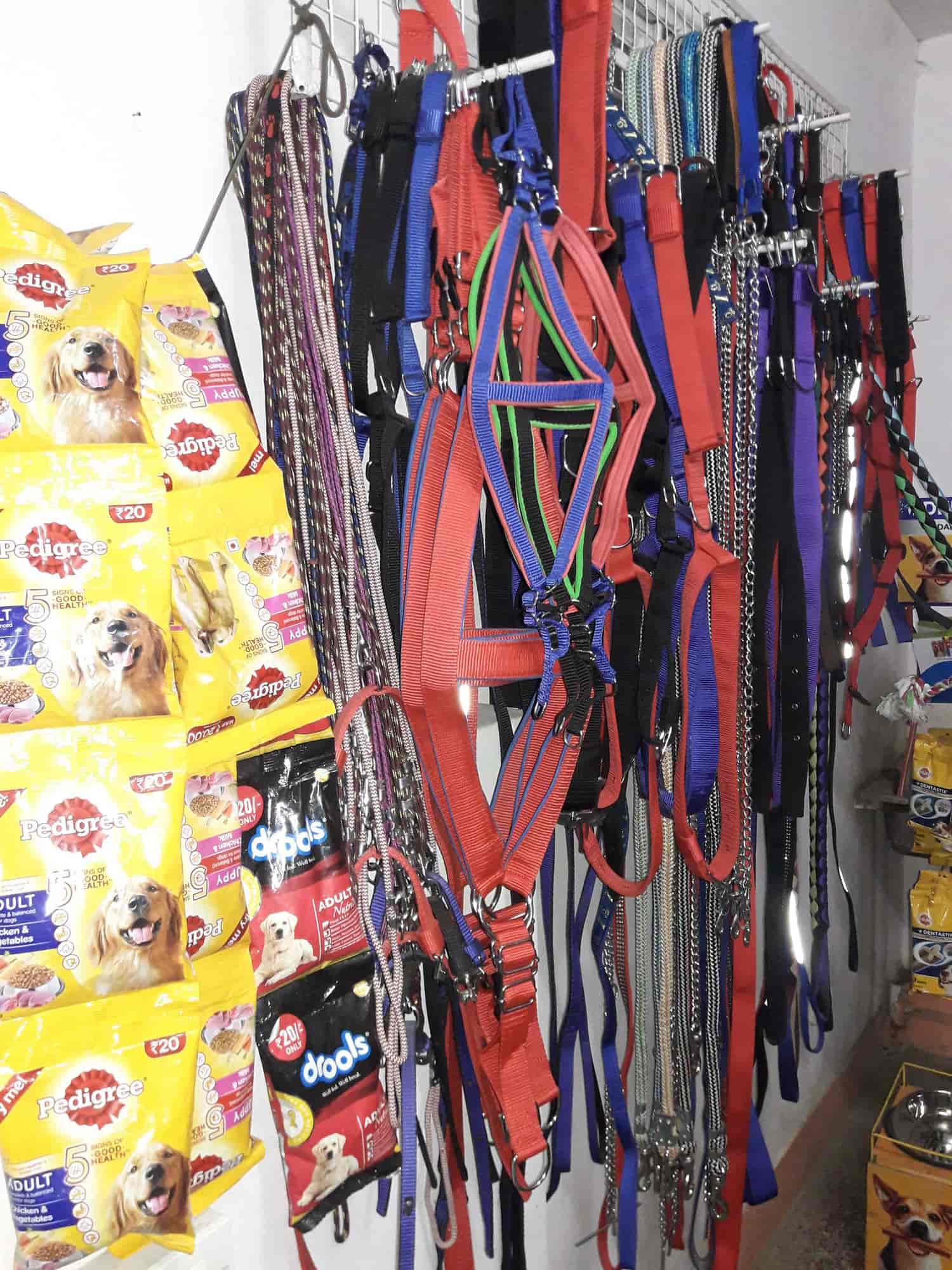 Manoj Pet Shop (Closed Down) in Munshi Pulia,Lucknow Best in Lucknow