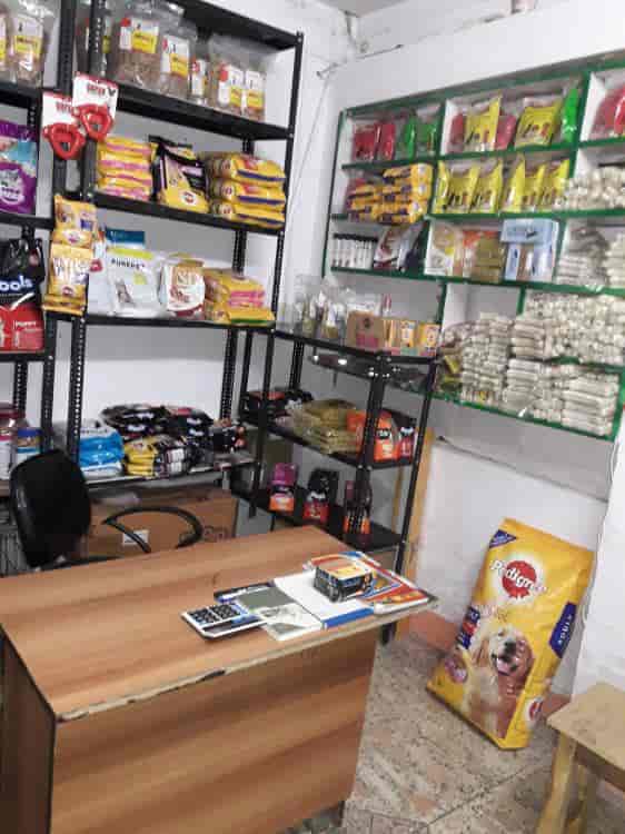 Manoj Pet Shop (Closed Down) in Munshi Pulia,Lucknow Best in Lucknow