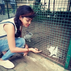 People For Animals in Rajaji Puram,Lucknow - Best Animal Welfare Organisations in Lucknow - Justdial People For Animals in Rajaji Puram,Lucknow - Best Animal Welfare Organisations in Lucknow - Justdial