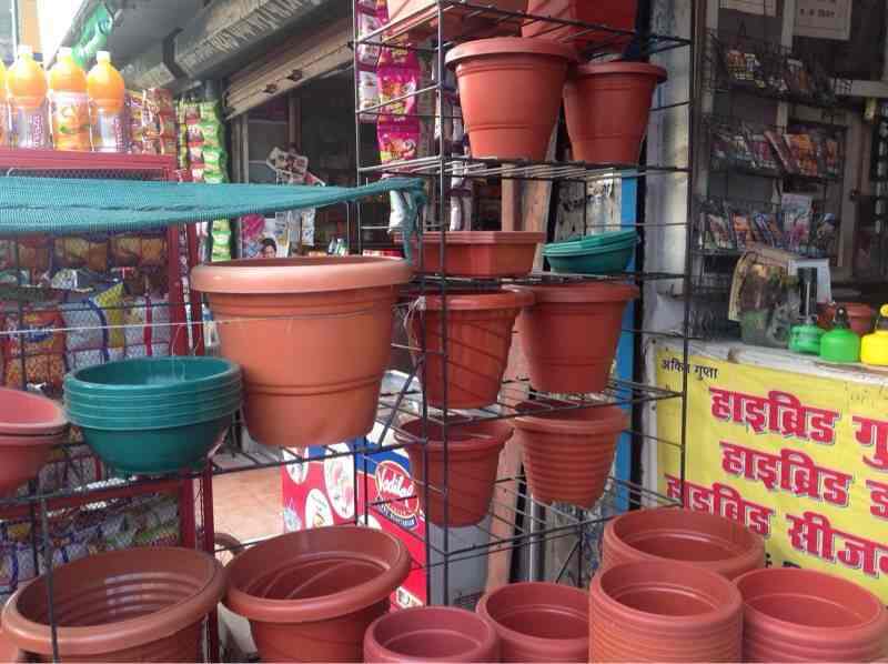 Top Mushroom Seed Retailers in Barabanki Best Mushroom Seed Suppliers