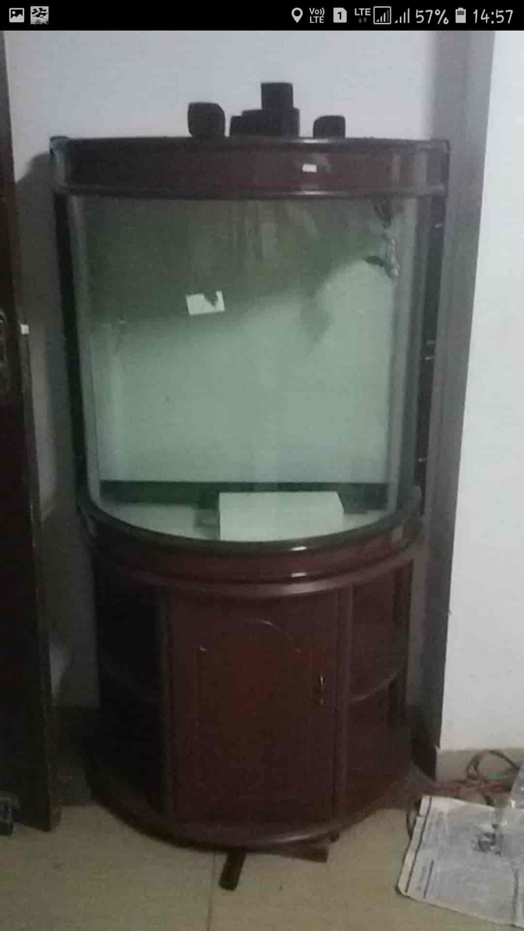 Top Aquariums in Nakhas Best Fish Tank Dealers near me Justdial