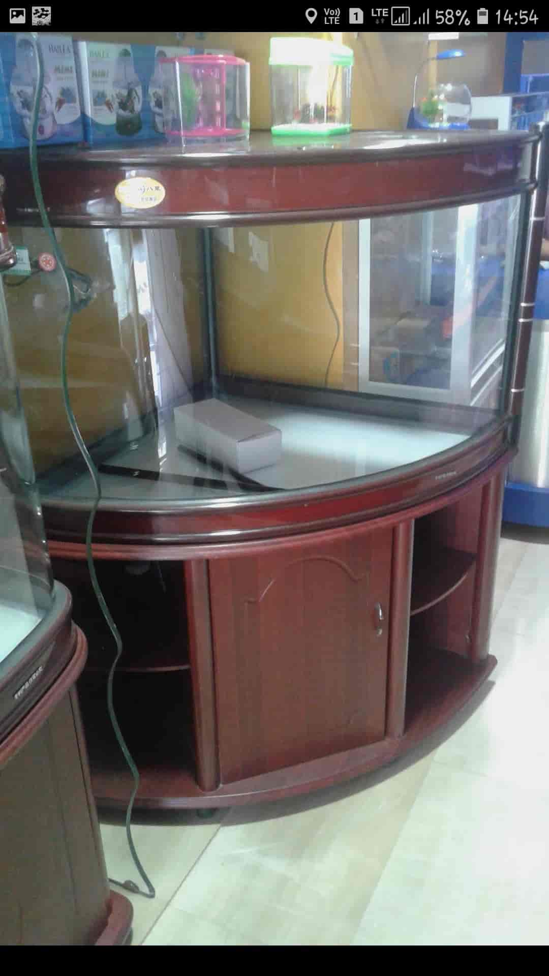 Top Aquariums in Nakhas Best Fish Tank Dealers near me Justdial