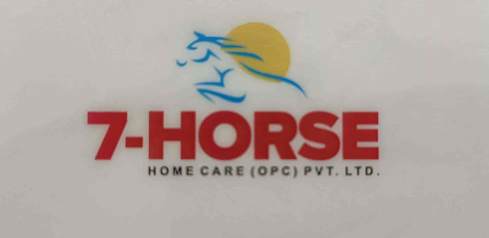 7 HORSE HOME CARE (OPC) PVT LTD in Jankipuram,Lucknow Best Detergent