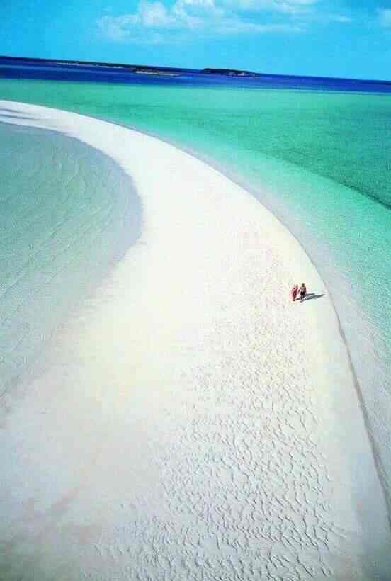 Desire Vacations in Feroze Gandhi Market,Ludhiana Best Travel Agents