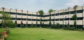 sample environment essay nursing application