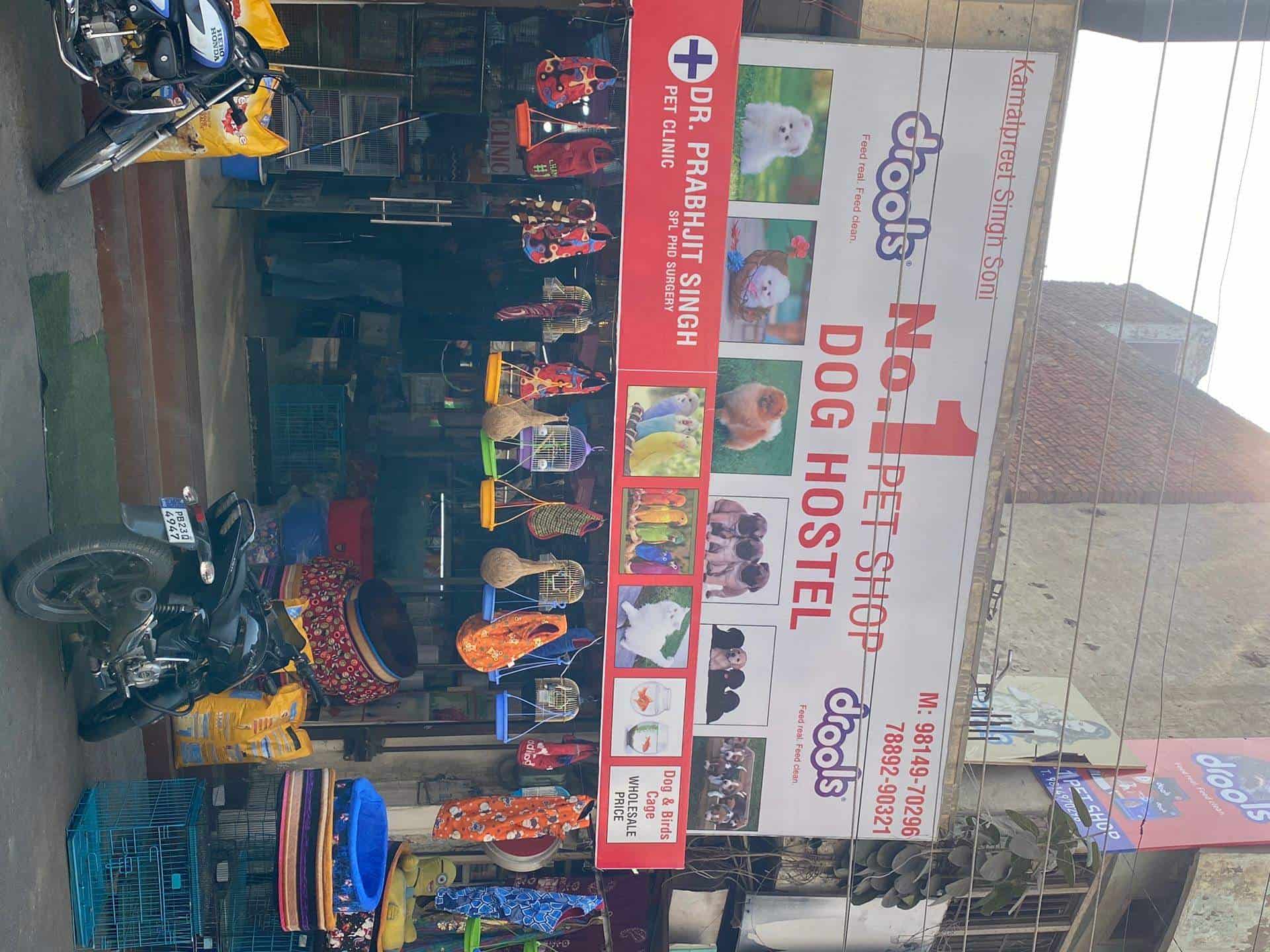 No.1 Pet Shop in Shastri Nagar,Ludhiana Best Pet Shops in Ludhiana