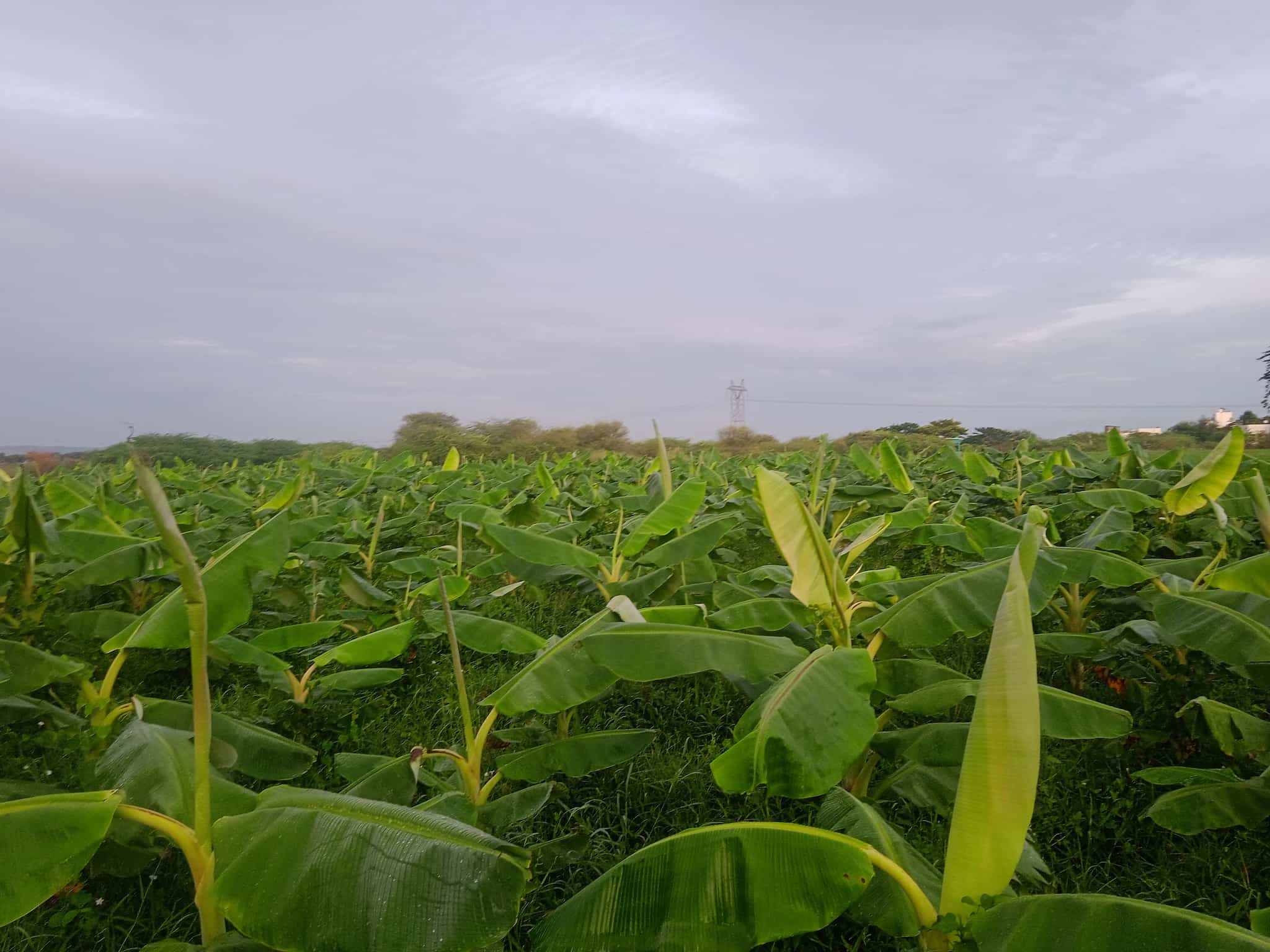 Top Real Estate Agents in Arapalayam, Madurai Best Estate Brokers