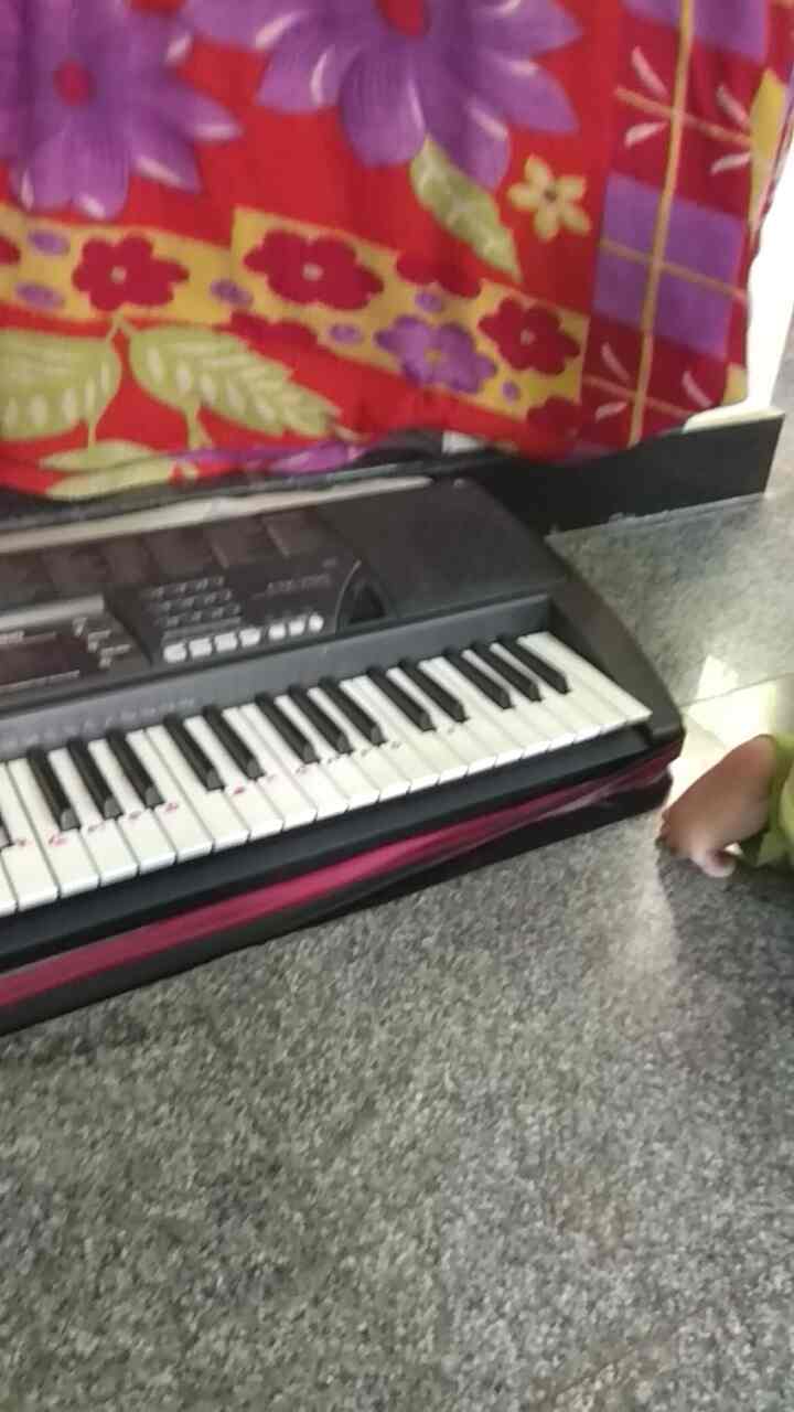 Ravi Music Academy in Viraganur,Madurai Best Music Classes in Madurai