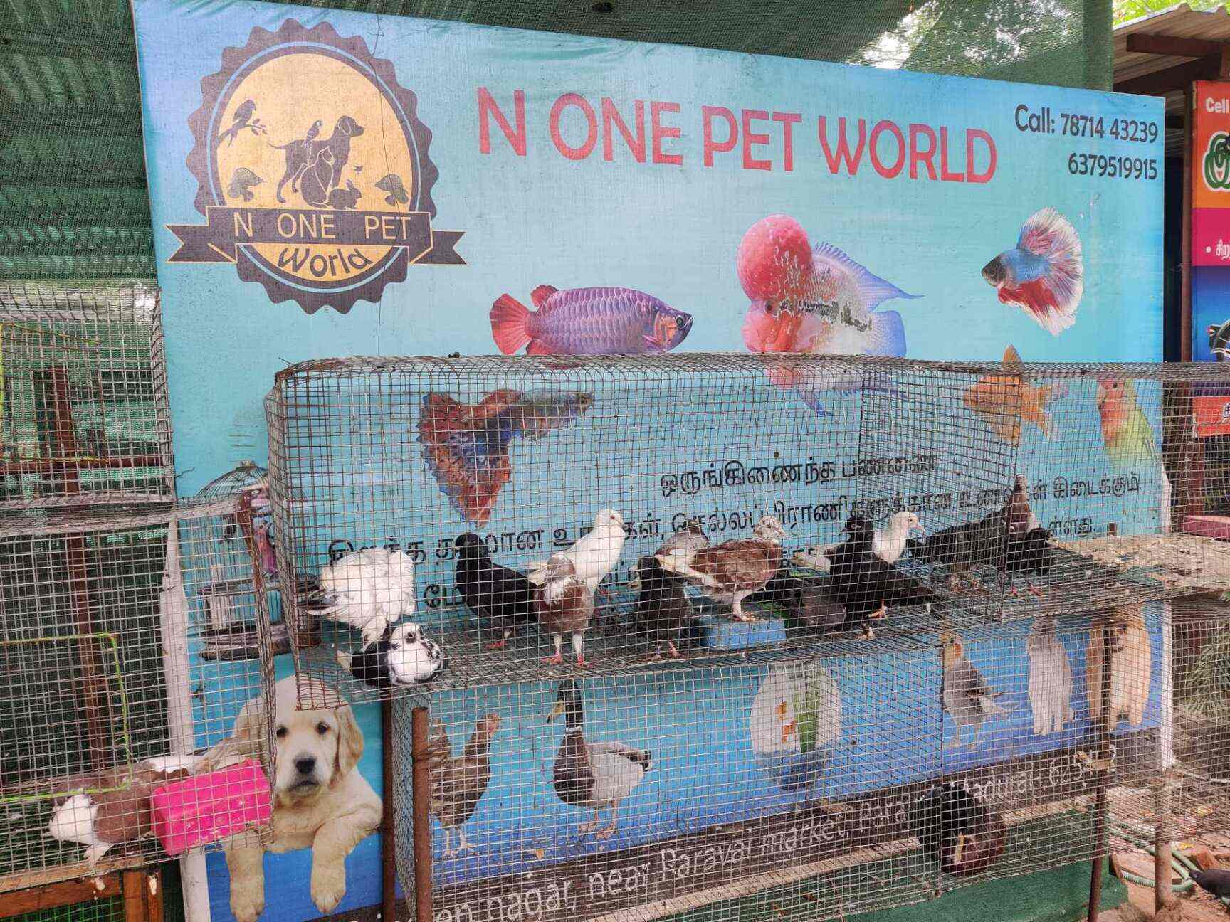 N One Pet World in Paravai,Madurai Best in Madurai Justdial