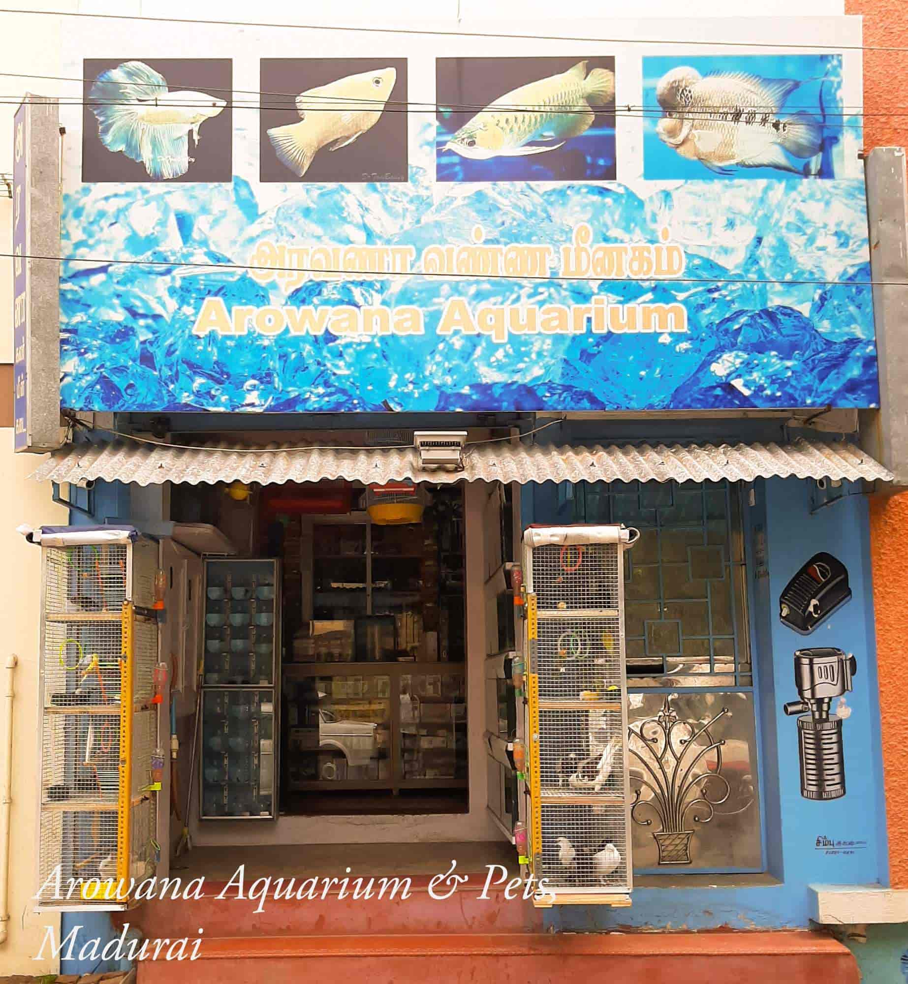Top Fish Aquarium Dealers In Anna Nagar Madurai Best Fish Aquarium Shops Justdial