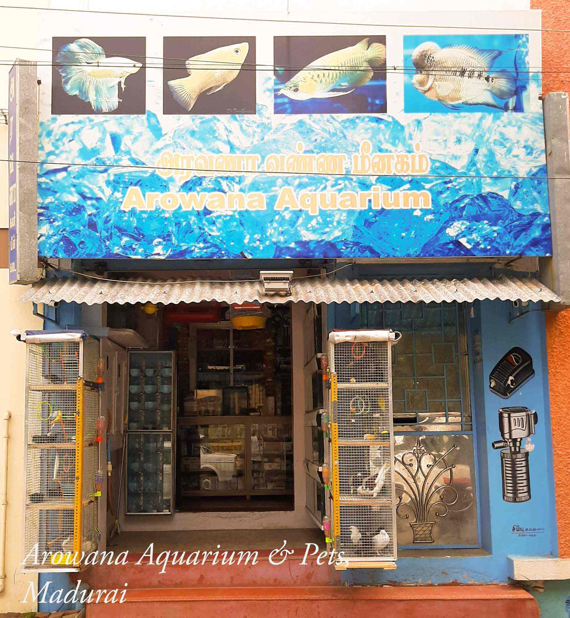 Arowana Aquarium & Pets, Subramaniapuram Aquarium Fish Dealers in