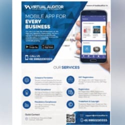 Virtual Auditor