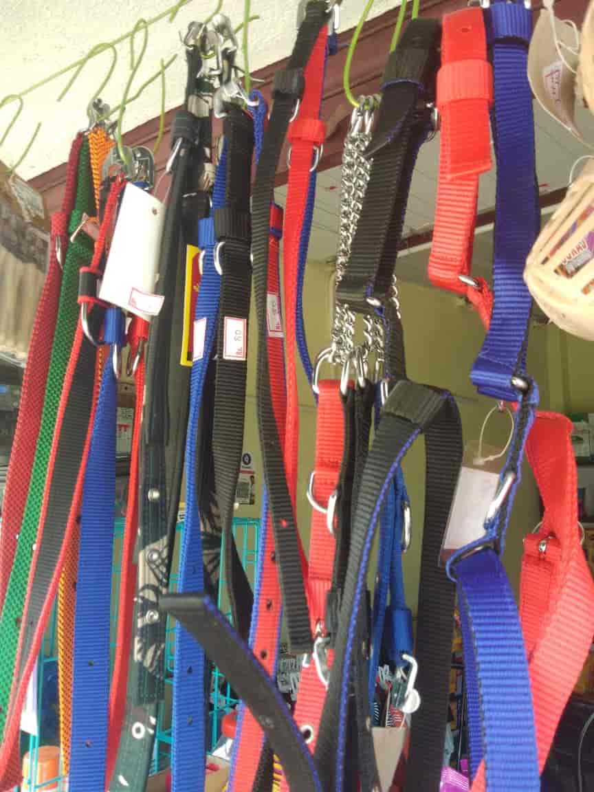 Top Pet Care Takers in Karaikudi Best Dog Care Takers near me Justdial