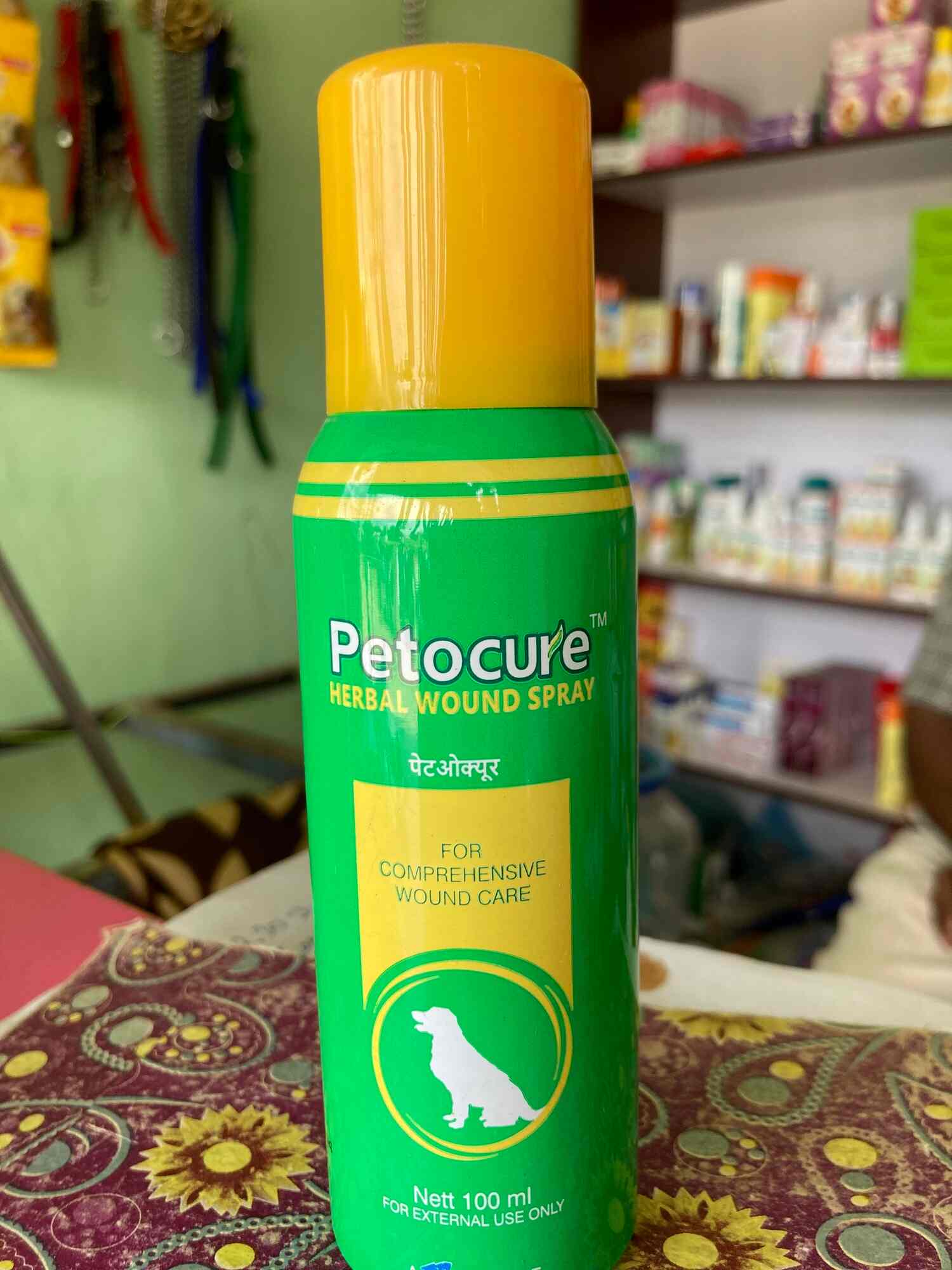 Top Pet Care Takers in Karaikudi Best Dog Care Takers near me Justdial