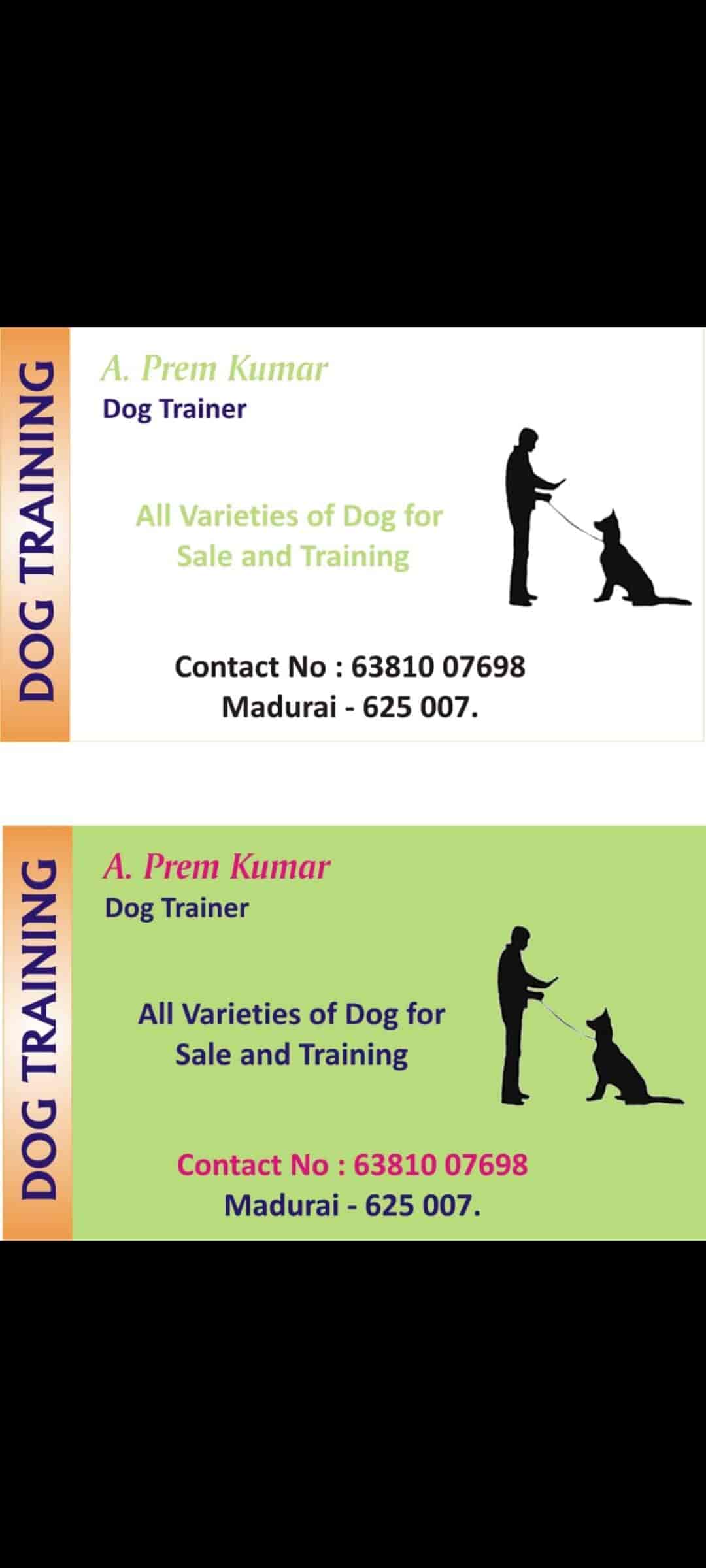 Top Pet Care Takers in Karaikudi Best Dog Care Takers near me Justdial