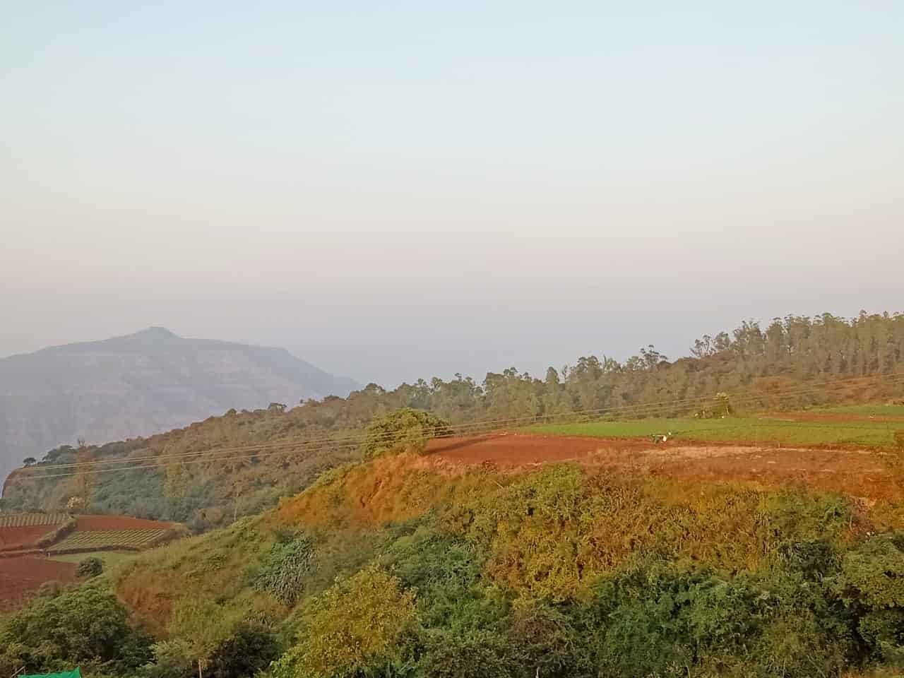 Mauli Strawberry Farm Mahabaleshwar in Near Rajman Rock Hotel