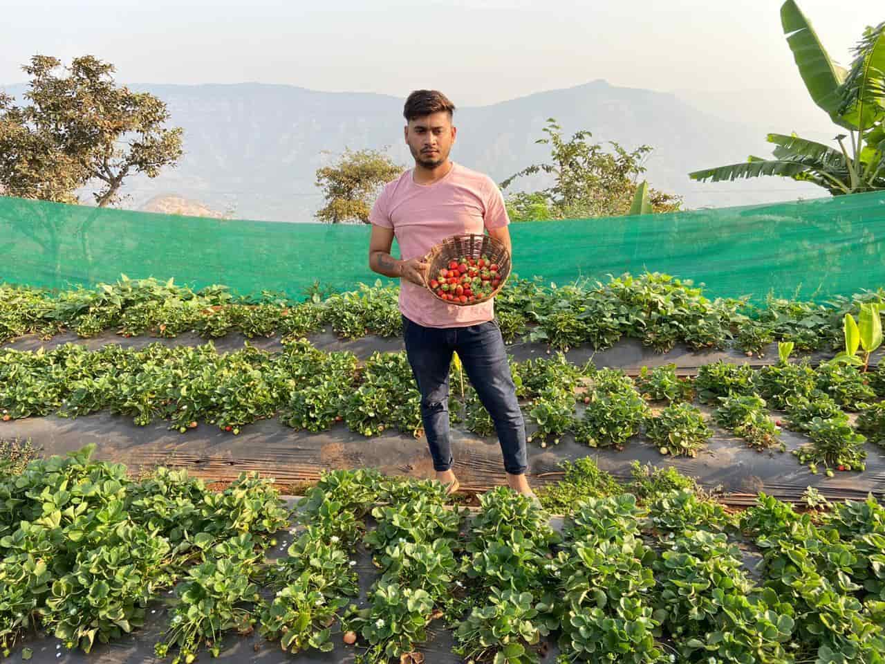 Mauli Strawberry Farm Mahabaleshwar in Near Rajman Rock Hotel