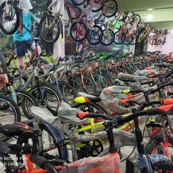 Oscar best sale bike shop