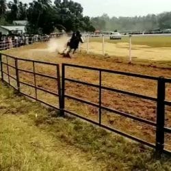 Top Race Course in Mannuthy Thrissur near me Justdial