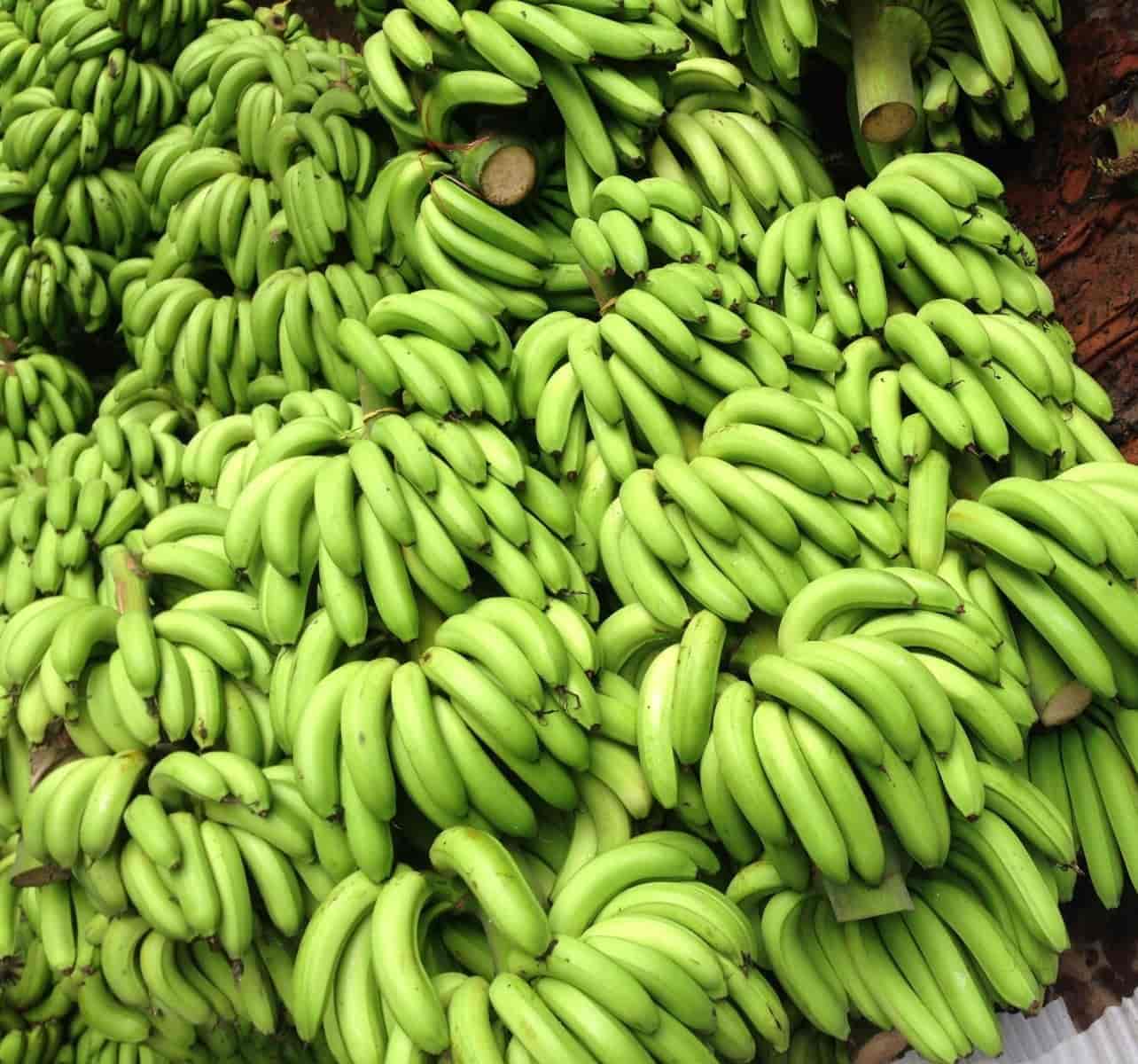 VT Banana Wholesale Trader in Perintalmanna,Malappuram - Best Banana Fruit  Wholesalers near me in Malappuram - Justdial