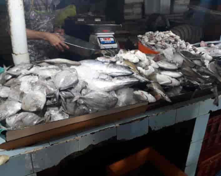 Top Fish Markets in Chelakkad - Best Seafood Market - Justdial