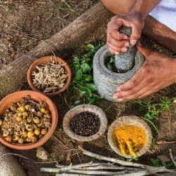 Top Ayurvedic Clinics in Manvi Sangrur, Malerkotla - Best ...