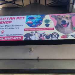 Top Pet Shops For Dog in Sunder Nagar Mandi Mandi Best Pet