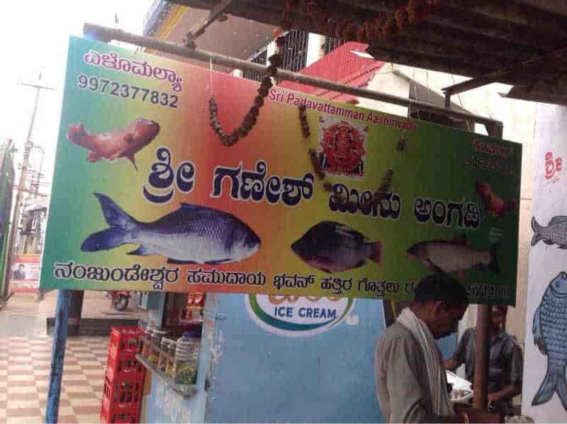 Top Anchovy Dealers In Mandya Bus Stand Best Anchovy Fish