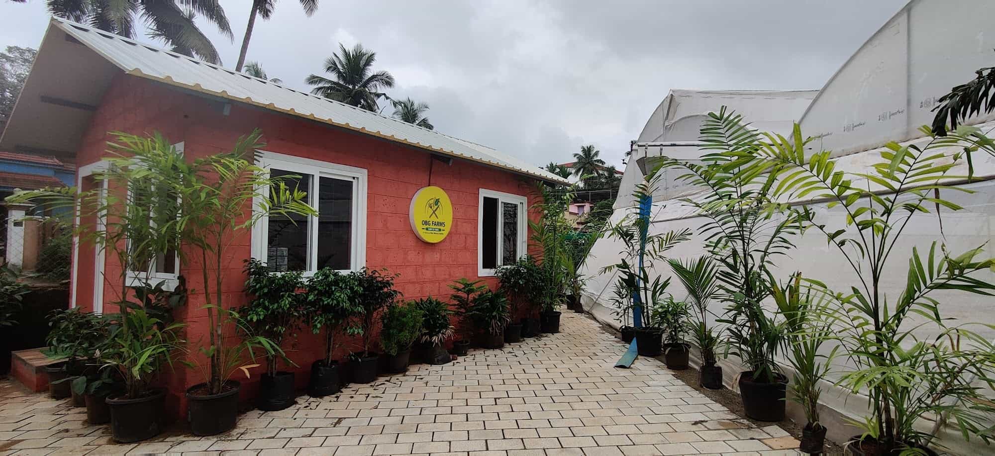 Top Plant Nurseries in Ballalbagh,Mangalore Best Government Plant