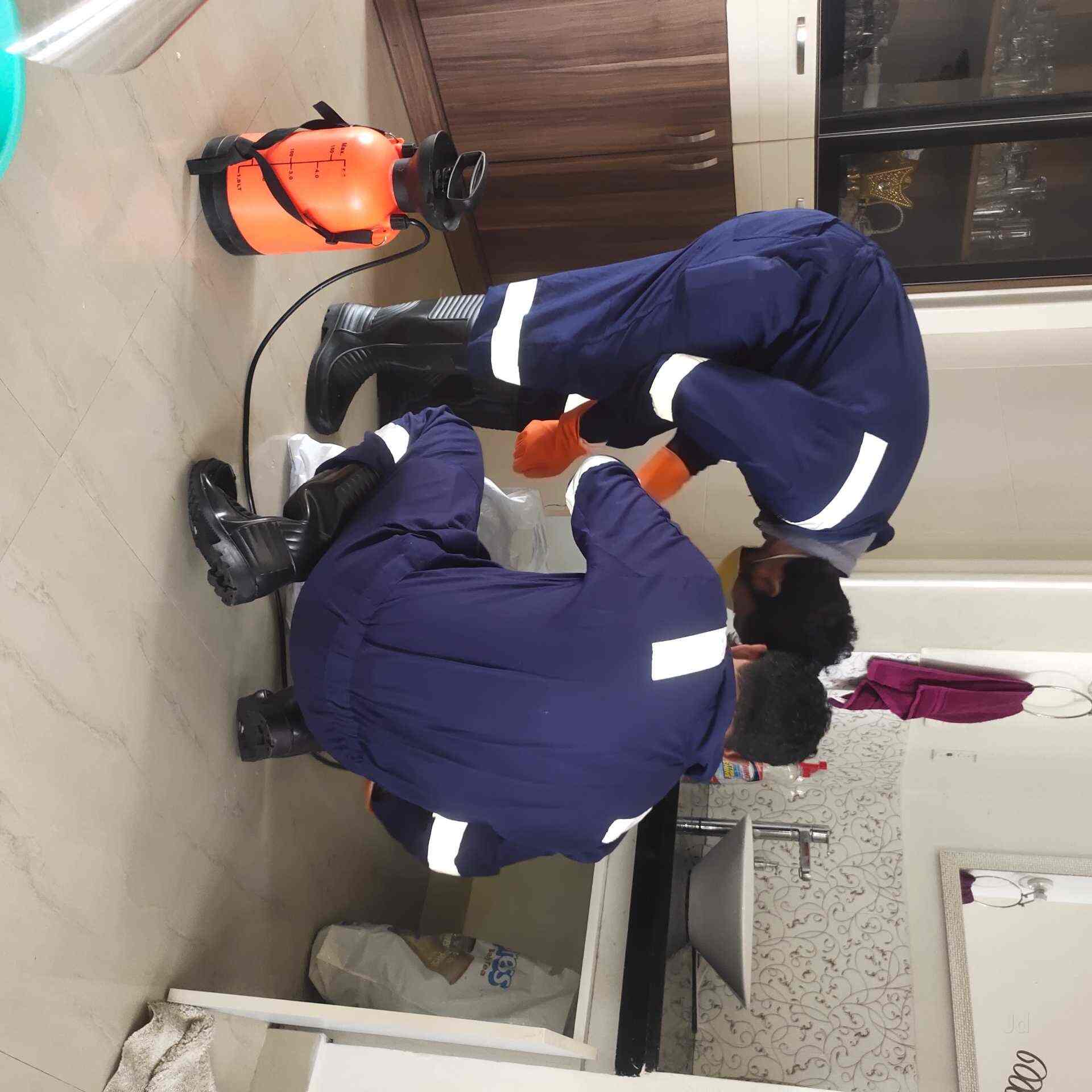 Top Pest Control Services in Bejai Best Residential Pest Control