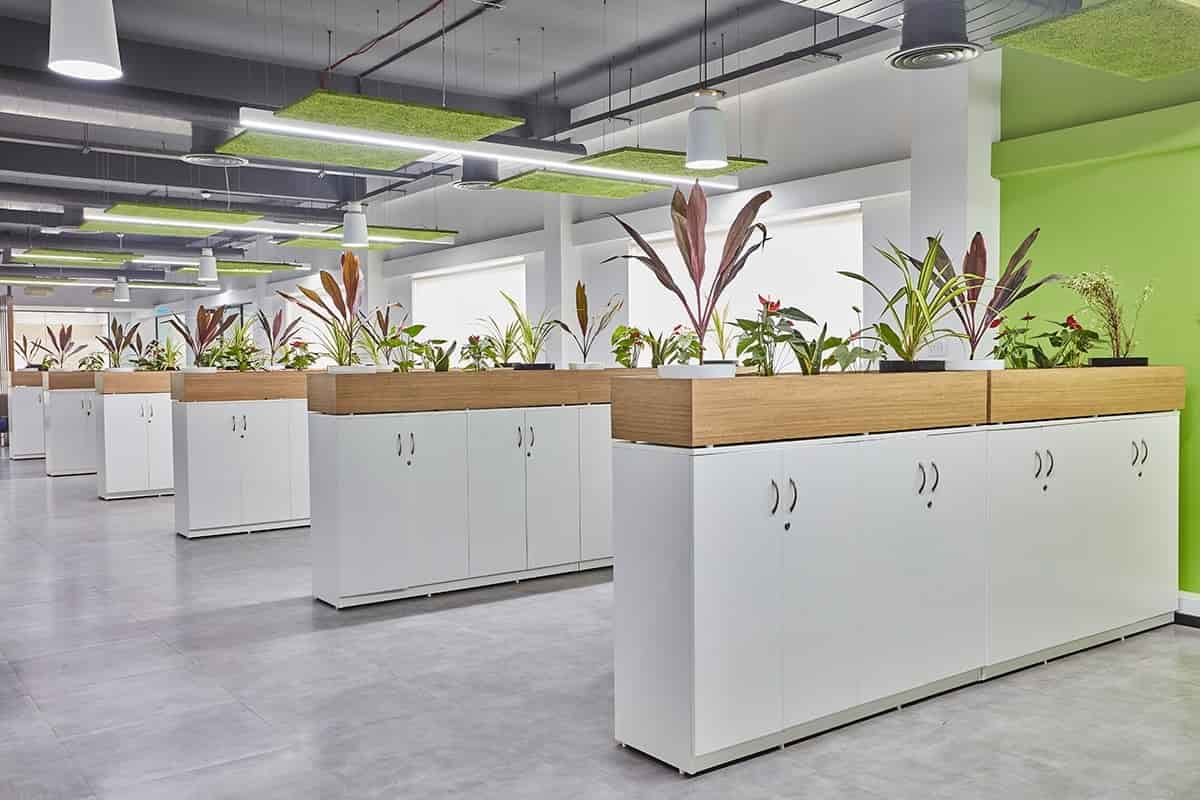 Chair Studio in Bejai,Mangalore Best Computer Chair Dealers in