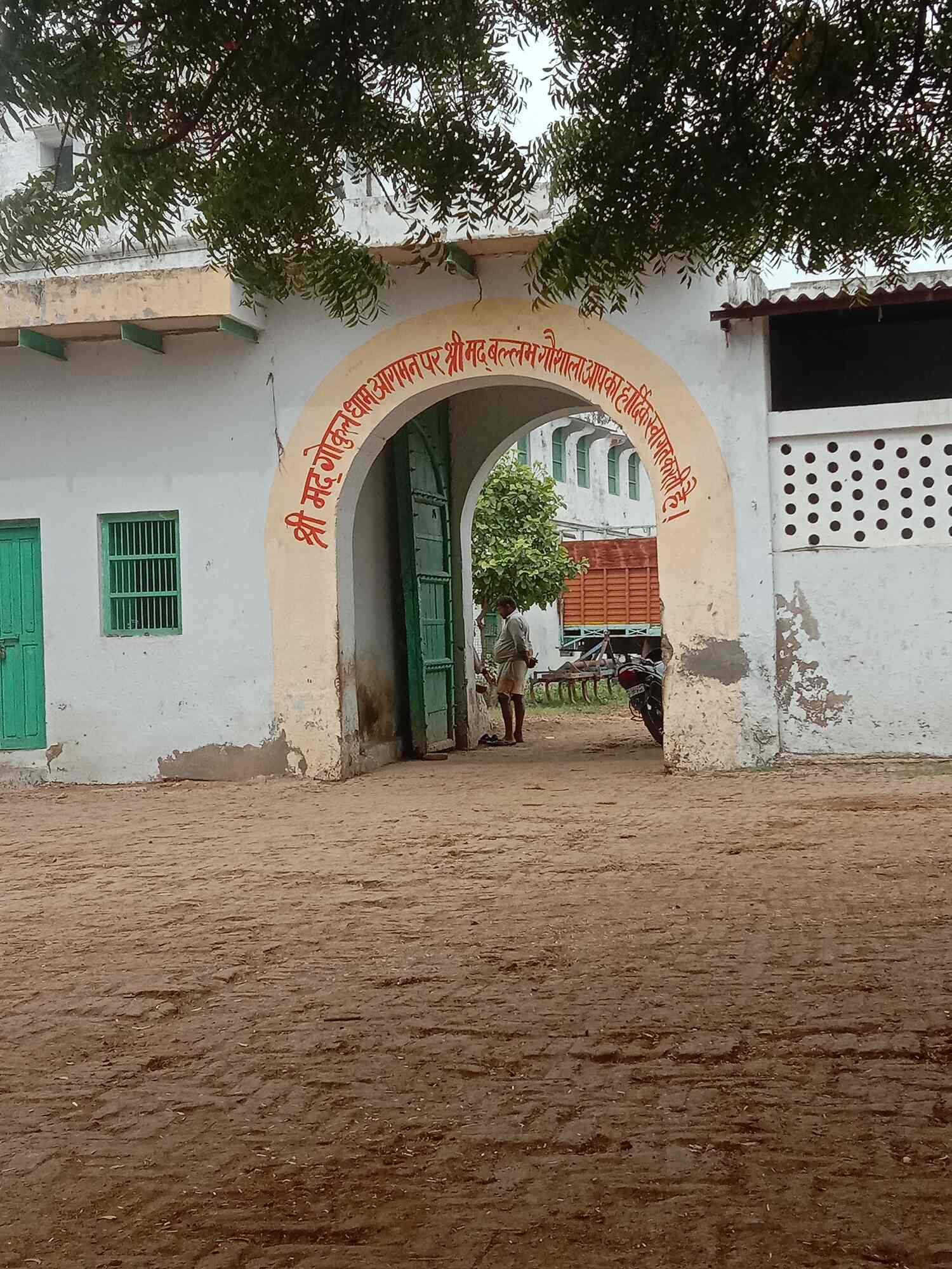 Top Animal Shelters in Mathura near me Justdial