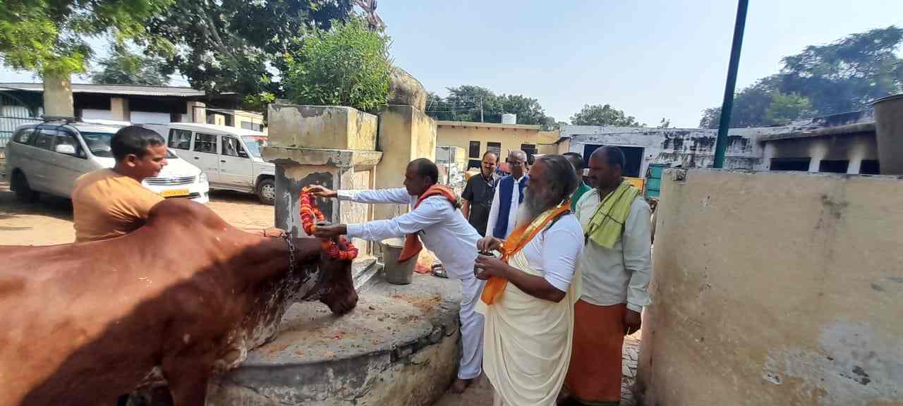 Top Animal Shelters in Mathura near me Justdial