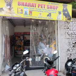 Justdial dog shop hotsell